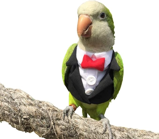Bird Clothes Birds Flight Suit,Tuxedo Business Suit for Parrots African Greys Parakeet Cockatiel Sun Conure Christmas Party Birthday Cosplay Photo Prop Small Animals Apparel (L,Black Suit)