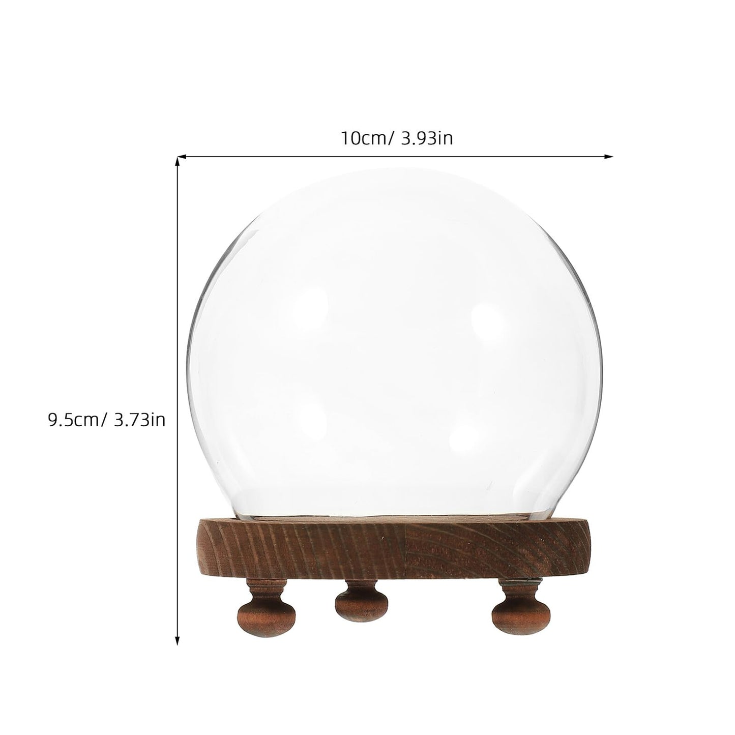 FESTFENDS Glass Cloche Dome Wooden Base Display Case for Preserved Flower and Succulent Craft Decoration