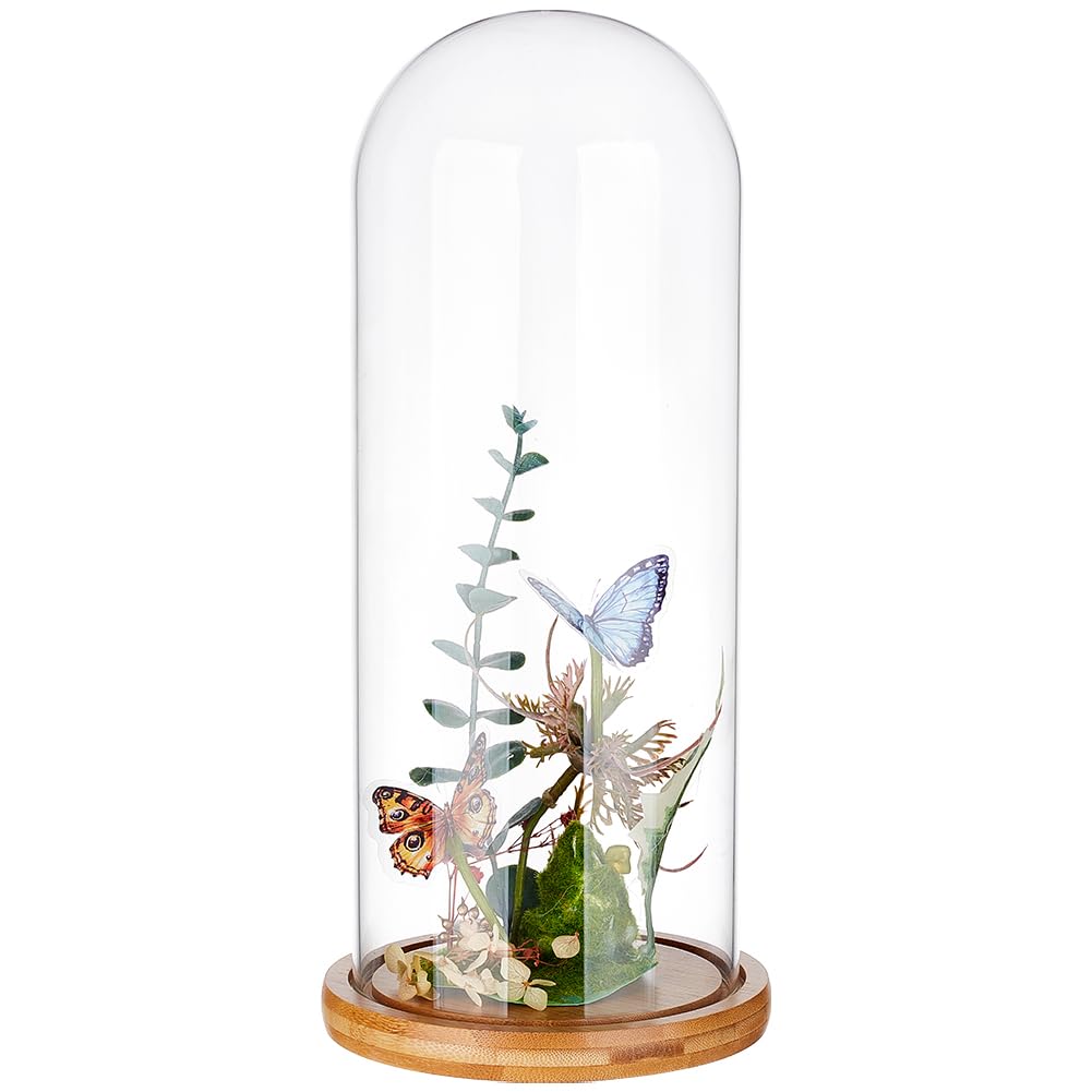 BENECREAT 4.6x12inch Eternal Transparent Flower Glass Cover, Glass Display Dome Cloche Jar with Sandy Brown Solid Wood Base for DIY Flower Craft