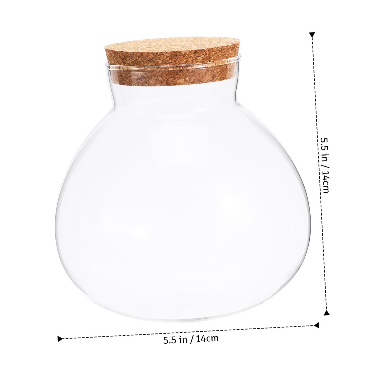 BESPORTBLE Glass Moss Bottle Empty Glass Jar Moss Crafts Home Decor Plant Terrarium