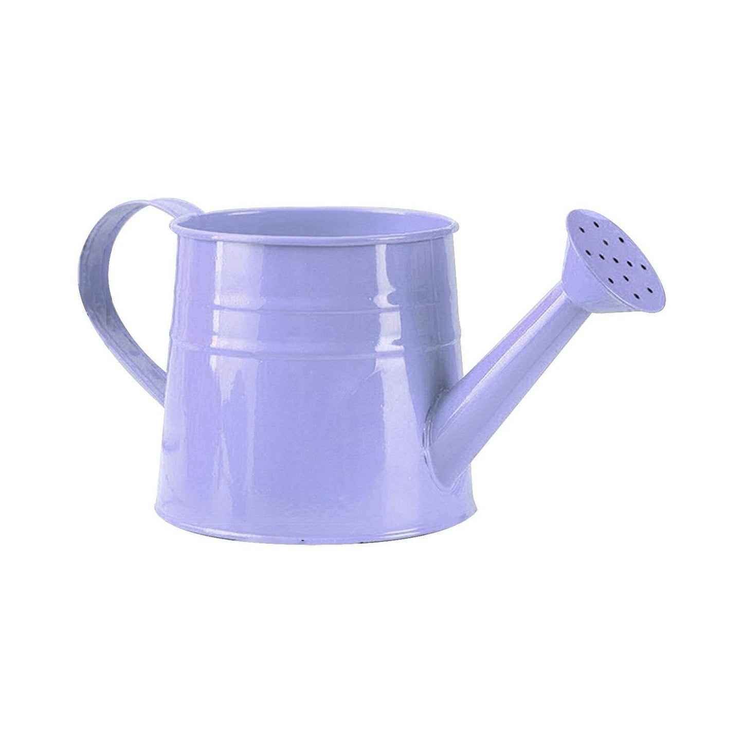 Watering Can, 1L Metal Flower Garden Watering Can, Lightweight Durable Decorative Gardening Tool for Outdoor Indoor Plants Lawn Garden (Purple)