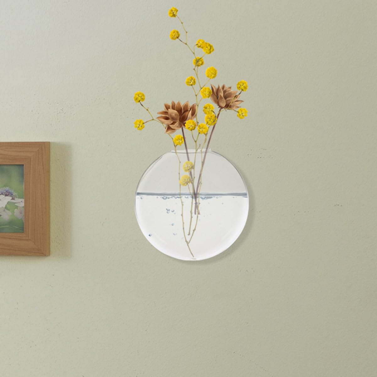 FUNOMOCYA Glass Terrarium Hanging Vase Wall Mounted Hydroponic Vase Glass Plant Holder 2pcs Decorative for Home Décor