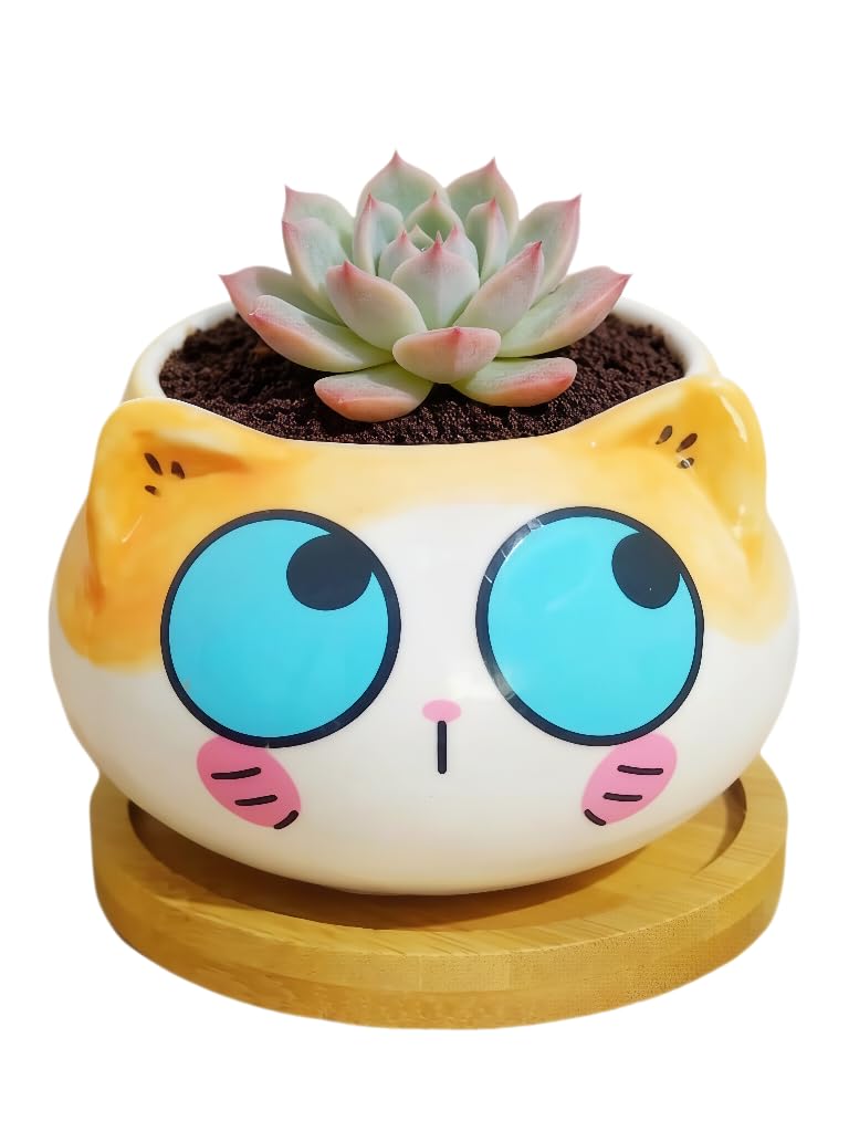 Cuteforyou Cute 3.5 Inches Indoor Cartoon Animal Cat Shaped Ceramic Succulent Cactus Flower Plant Pots with Bamboo Tray-Plant Not Included (Blue Eyes)
