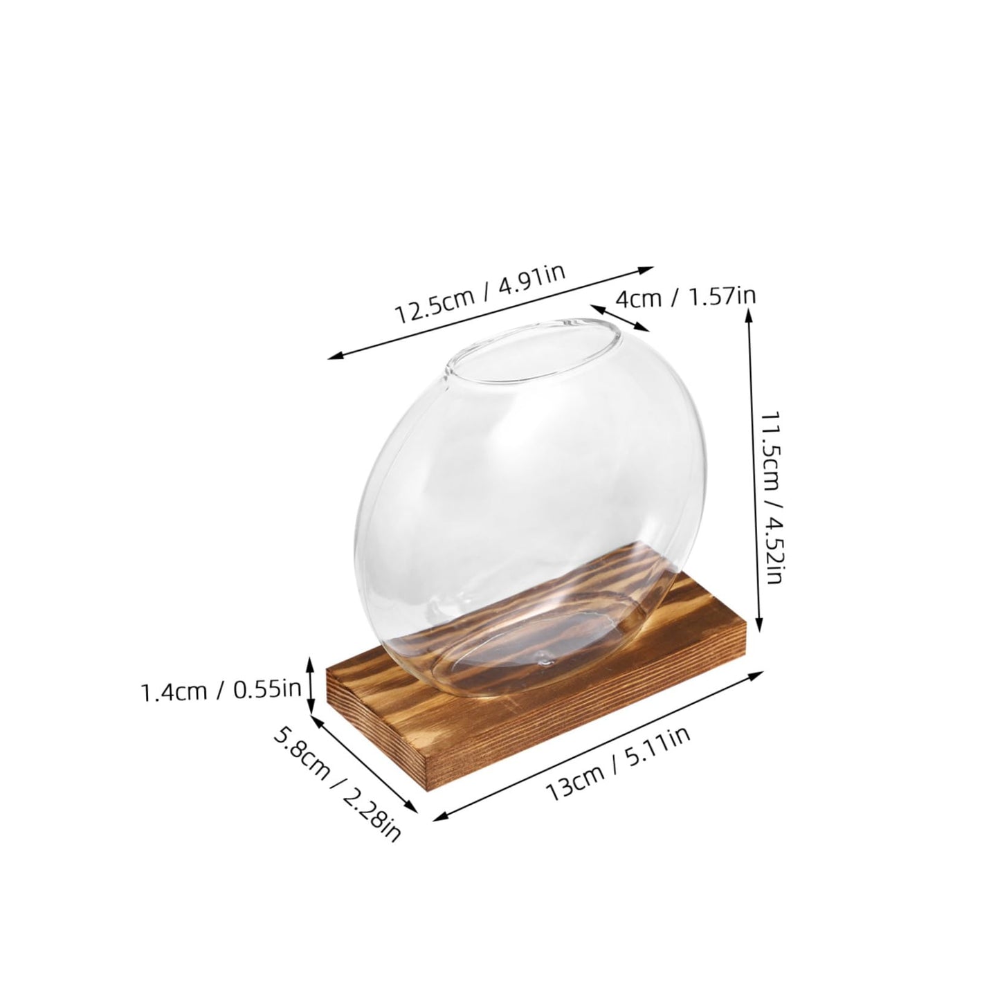 UPKOCH 2Sets Clear Glass Vases with Natural Eucalyptus Base Small Plant Terrarium for Home Decor Hydroponic Display Artistic Design for Indoor Plants and Decorative