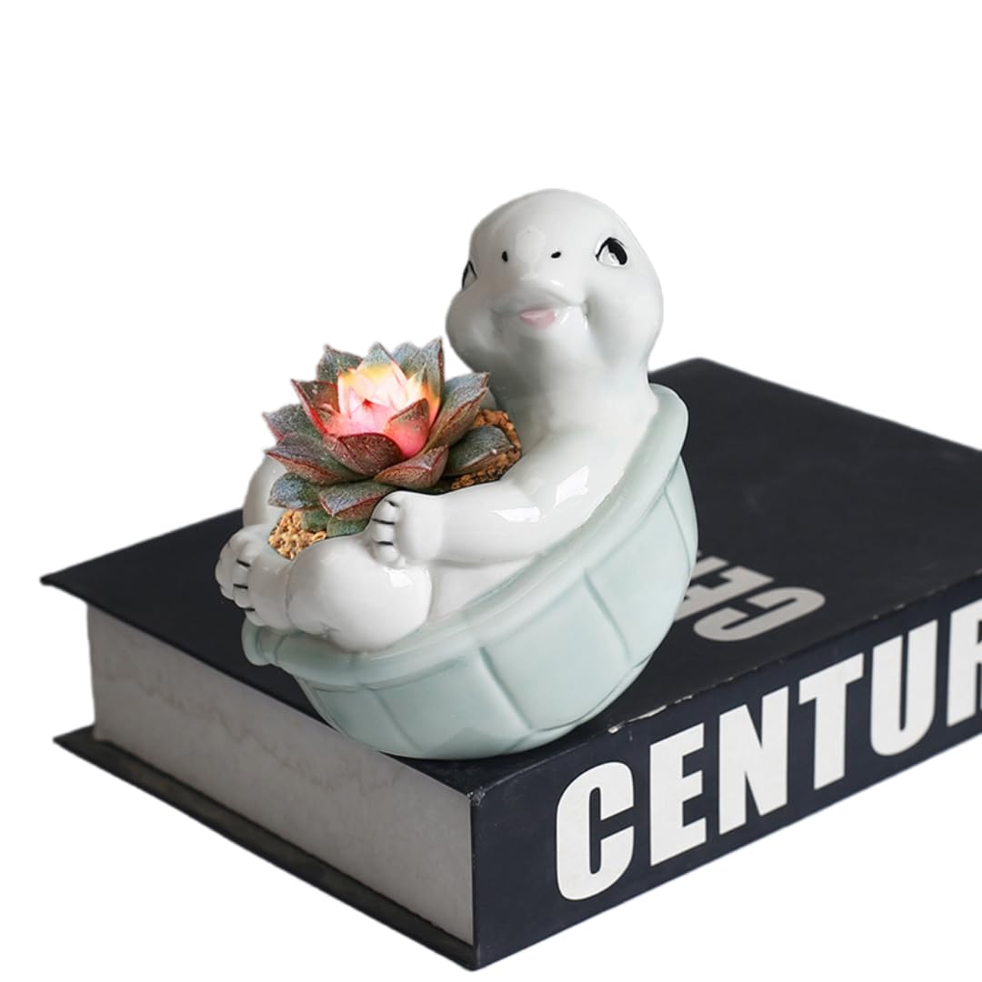 ourhommie Turtle Succulent Planter Pots Ceramic Air Plants Holder Cute Flower Cactus Display Container Miniature Plants Pot Small Pottery Bonsai Pot Home Garden Decor for Plants Lover, No Plant