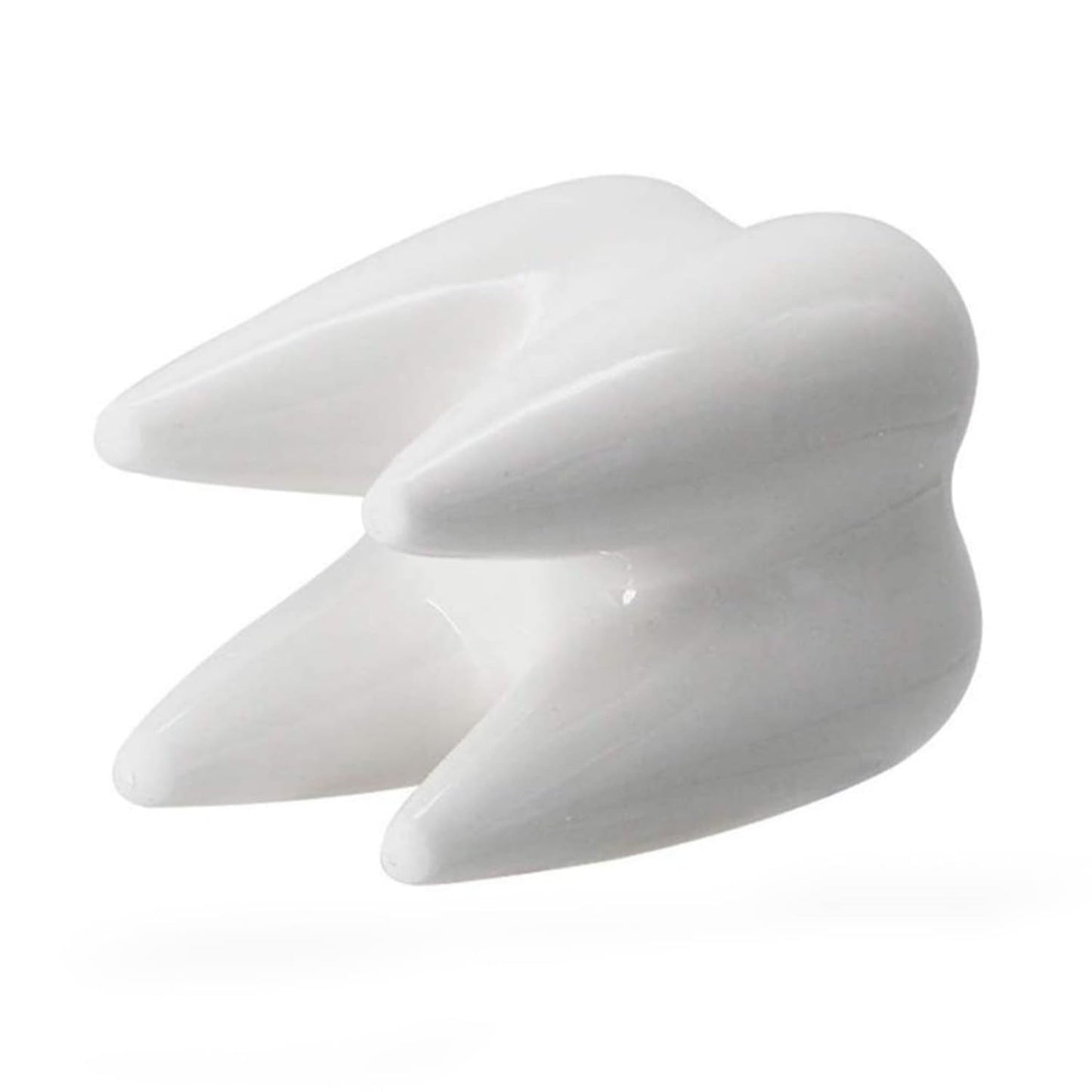 LECMACY Cute Tooth Shaped White Ceramic Planter Pots Flower Plant Containers, Mini Ceramic Succulent Planter Pots, Creative Pen Pencil Holder for Office Home Desk Decor, Plants Not Included (6 Pcs)