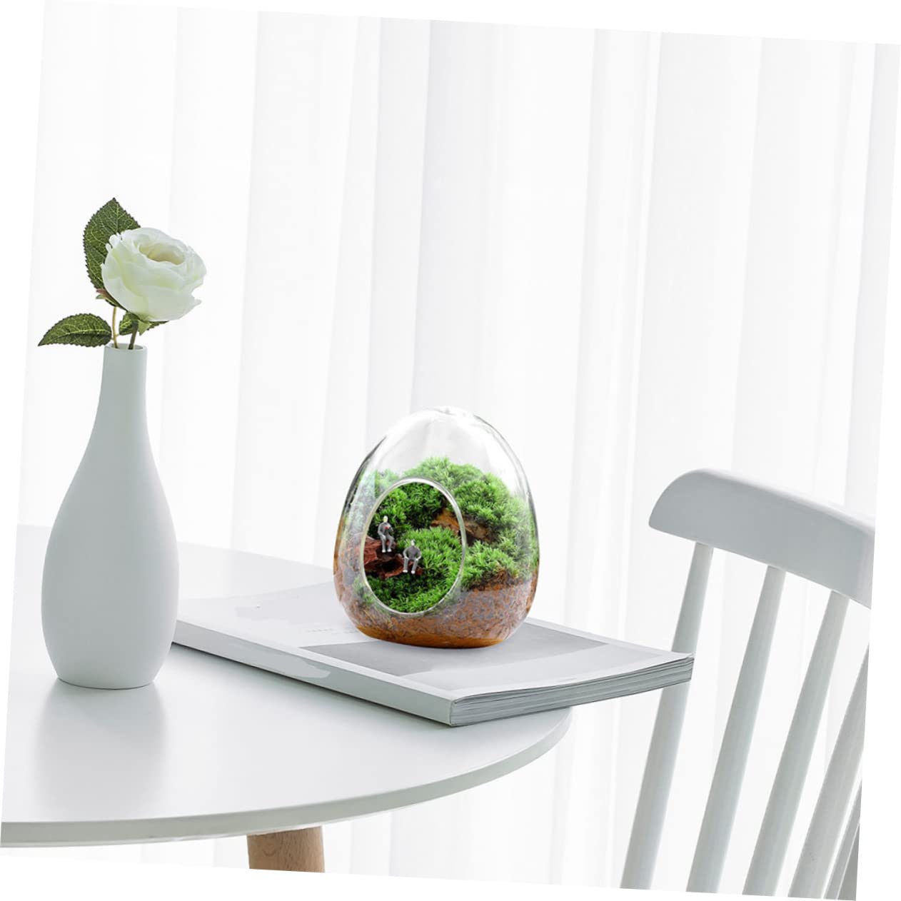 BESPORTBLE Glass Plant Bottle Decorative Micro Landscaping Air Plant Terrarium for Home