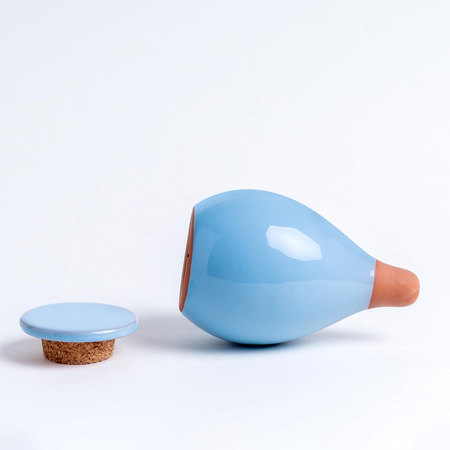 MOUGIGI 4-Pack Self Watering Planter Insert - 2 Blue and 2 Green Ceramic Watering Globes for Indoor Plants, Terracotta Bulbs, and Small Plant Pots - 300ml Capacity, 1 Weeks Autonomy