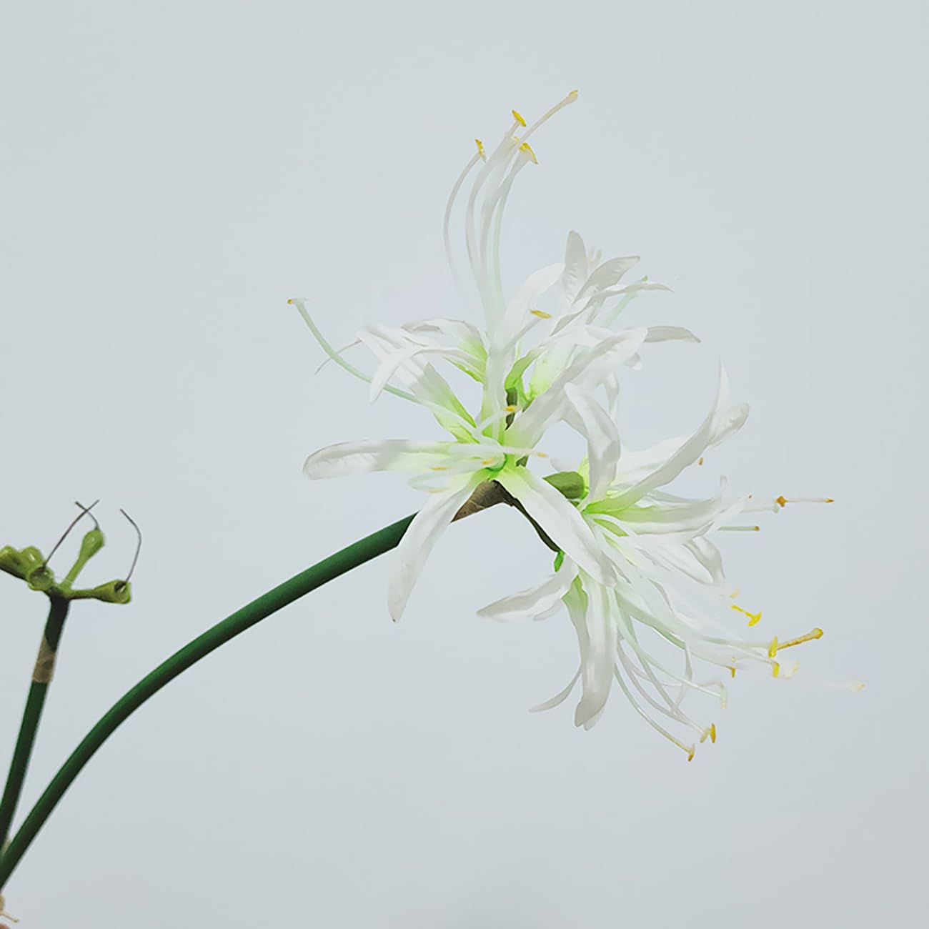 Qingriver 6 Sets 67 CM Lycoris Radiata Artificial Spider Lily Flowers Stonegarlic Clusteramaryllis for Home Garden Wedding Party Decor (Pure White)