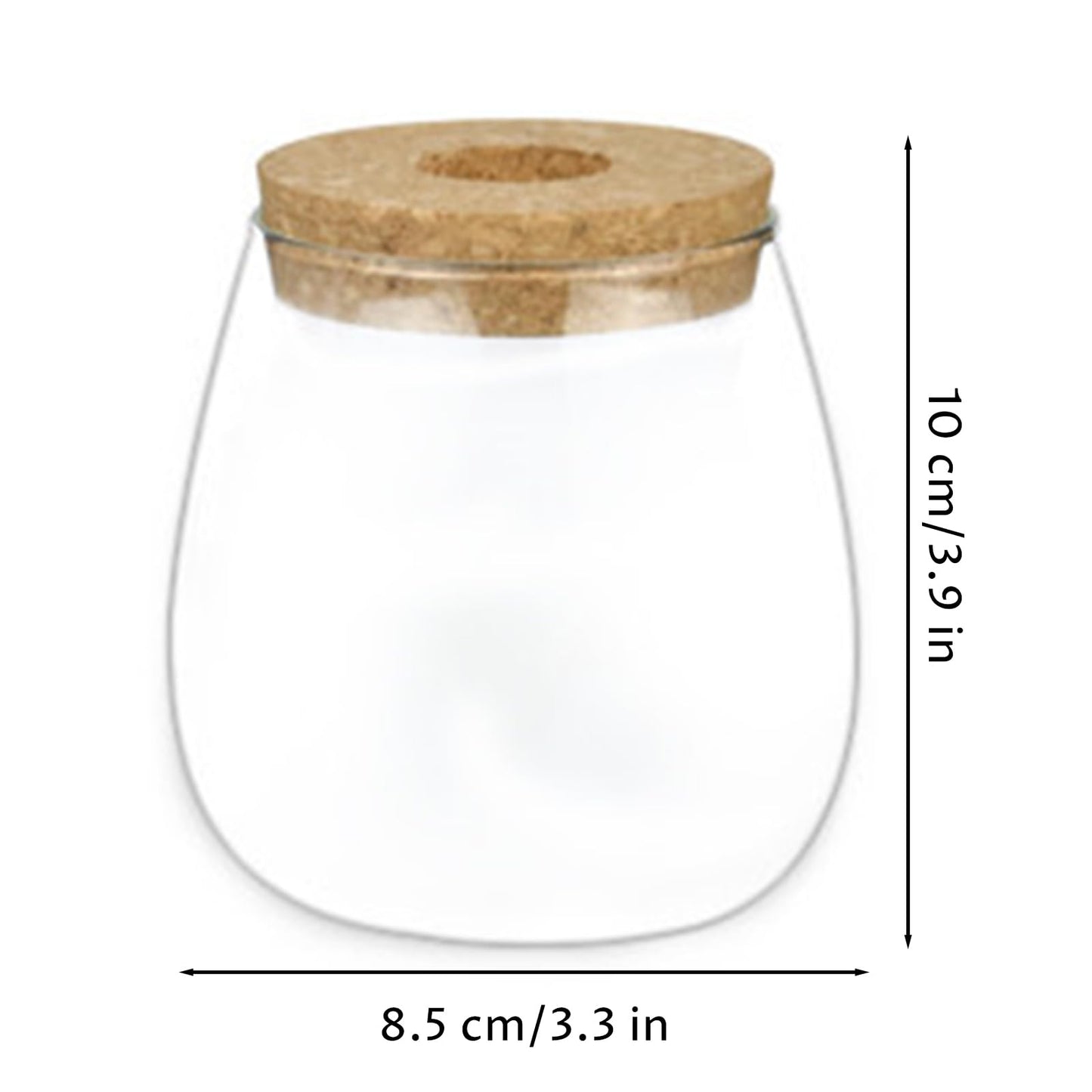 Propagation Vases for Plants, Clear Glass Terrarium Jar with Wooden Stopper for Hydroponics, Creative Home Decor and Tabletop Plant Propagation Station, Terrarium Jar