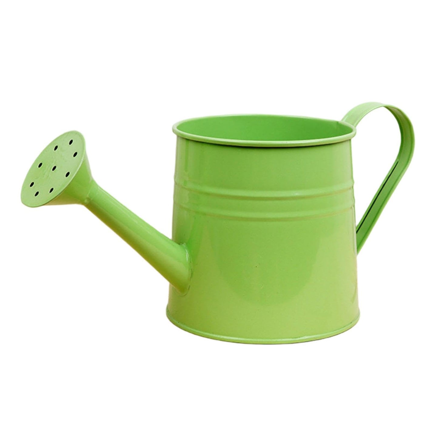Small Watering Can, 1L Metal Flower Garden Watering Can, Gardening Tool Accessories for Outdoor Indoor Plants Lawn (Green)