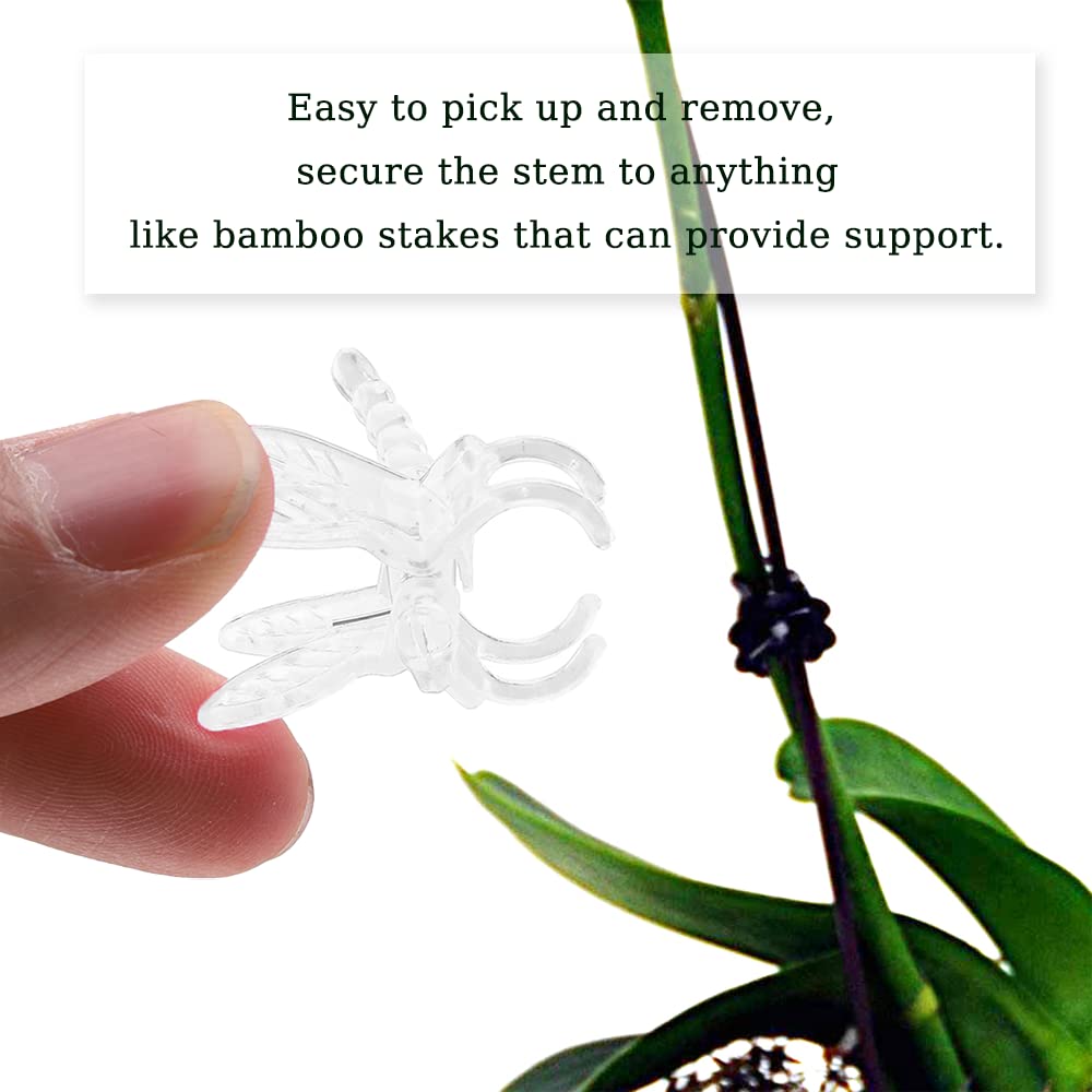 Watris Veiyi 100Pcs Plant Orchid Support, Garden Dragonfly Orchid Clips, Portable Cute Flower Vine Clips (Transparent)
