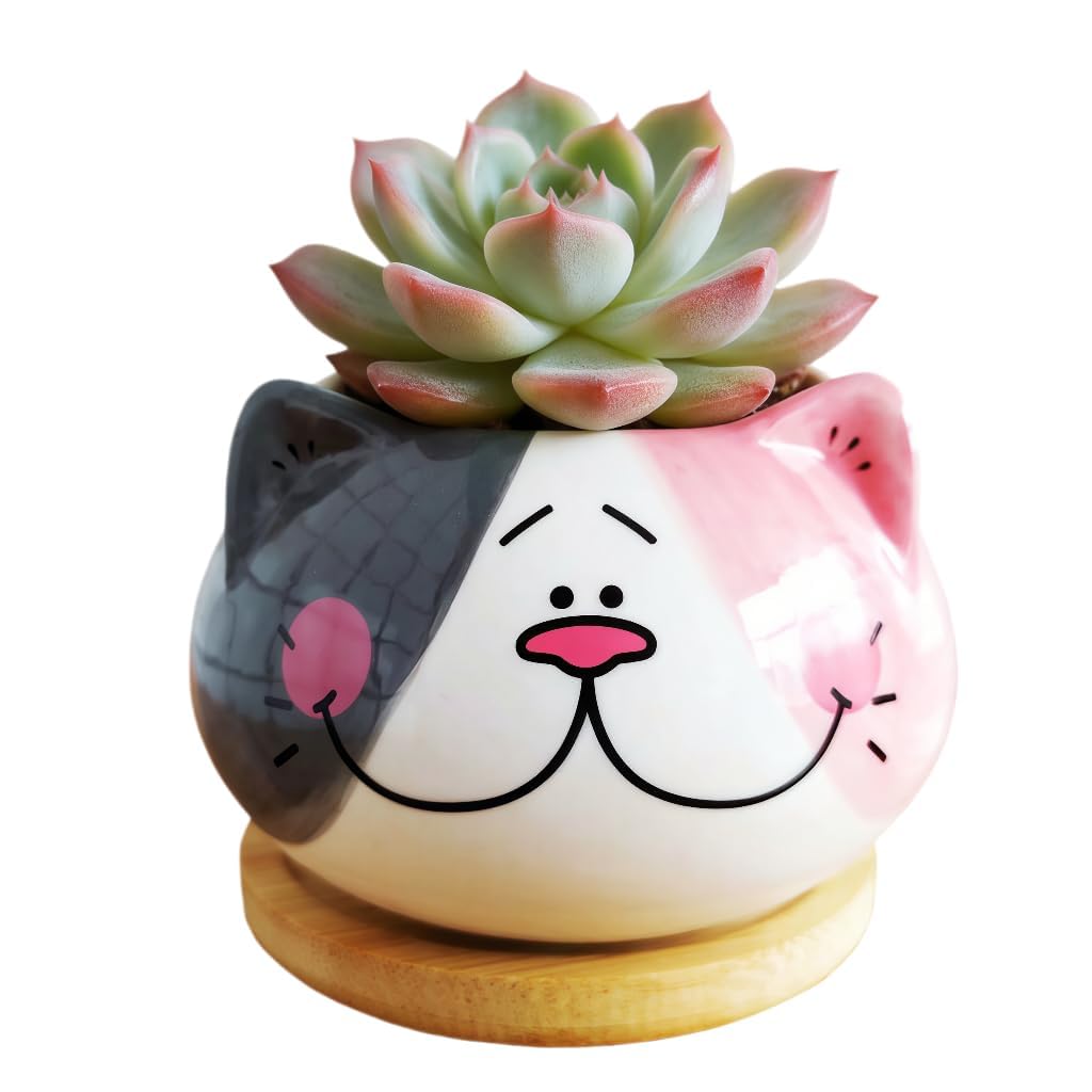 Cuteforyou Cute 3.5 Inches Indoor Cartoon Animal Cat Shaped Ceramic Succulent Cactus Flower Plant Pots with Bamboo Tray-Plant Not Included (6 Corlors)