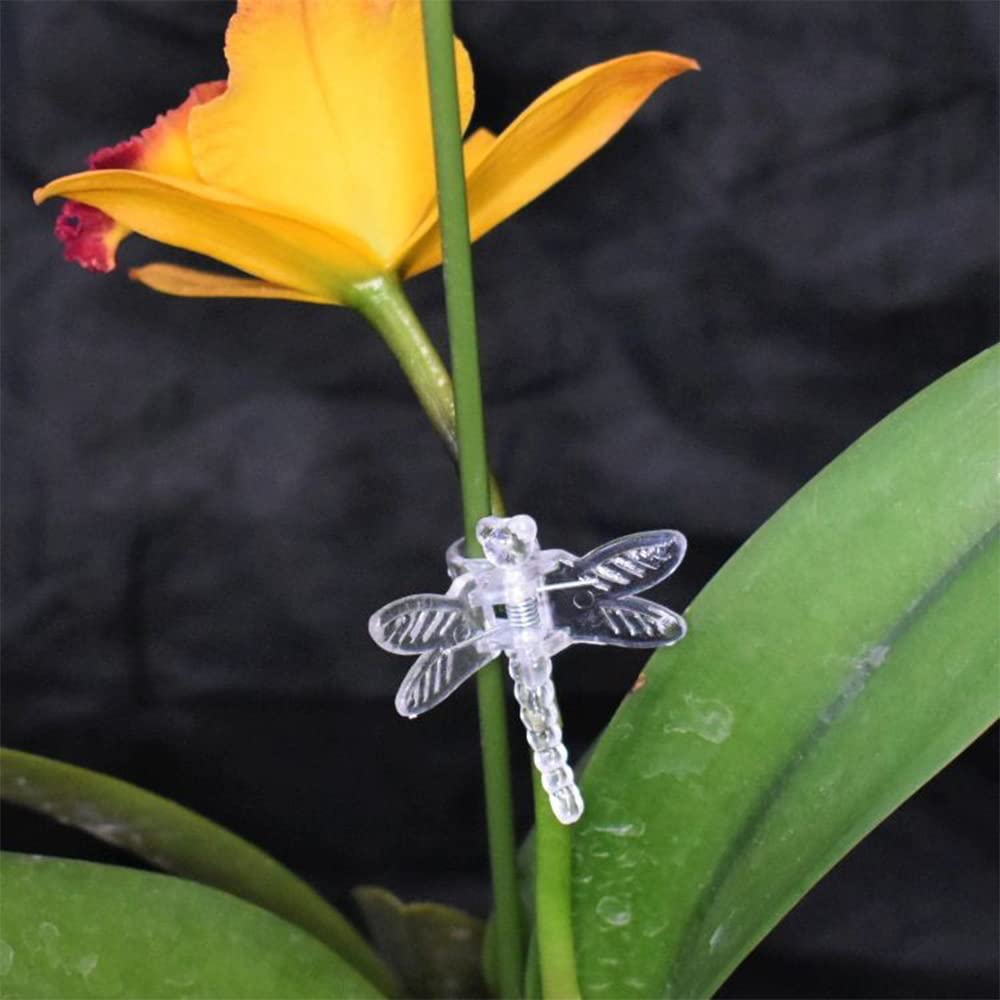 Watris Veiyi 100Pcs Plant Orchid Support, Garden Dragonfly Orchid Clips, Portable Cute Flower Vine Clips (Transparent)