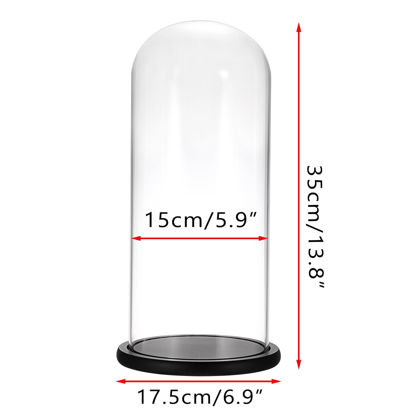 JUXYES 13.8 Inches Glass Display Dome Cloche with Black Wood Base, Clear Glass Dome Cloche Bell Terrarium Jar Glass Cloche Bell Jar Display for Plants Collectible Figure, 15x35cm