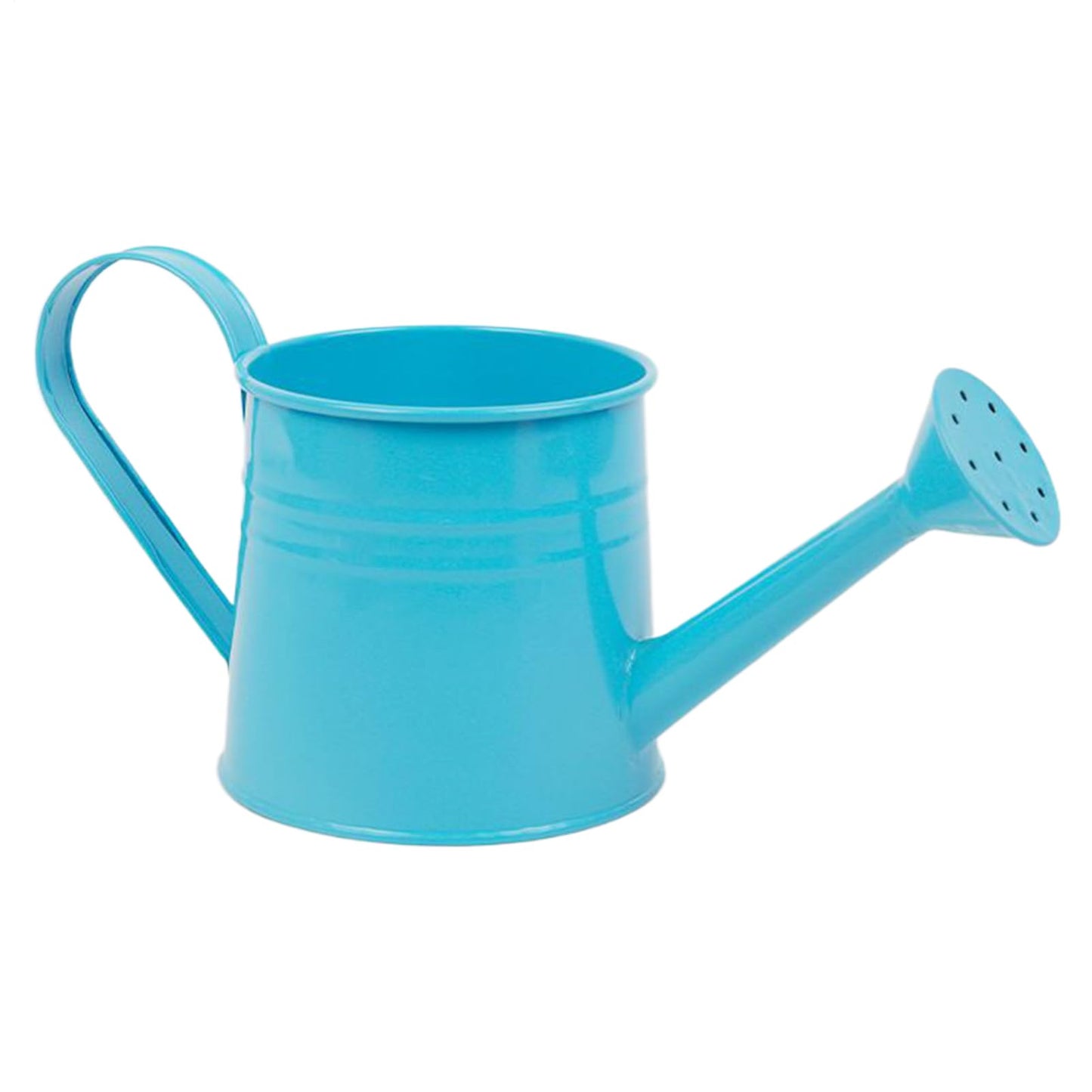 Garden Watering Can - 1L Metal Plant Pot, Long Spout Water Jug, Decorative Flower Container | Watering Bucket for Indoor Plants Outdoor Garden Balcony Patio Greenhouse Lawn Flower Tasks