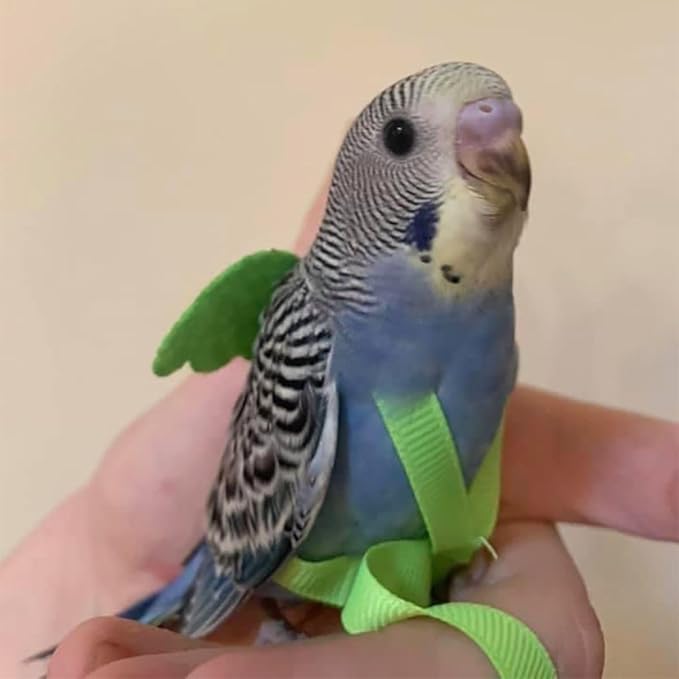 Pet Parrot Bird Harness and Leash, Adjustable Training Design Anti-Bite, Bird Nylon Rope with Cute Wing for Parrots, Suitable for Macaw Cockatoo Cockatiel Lovebird Conure African Grey (Pink,XS)