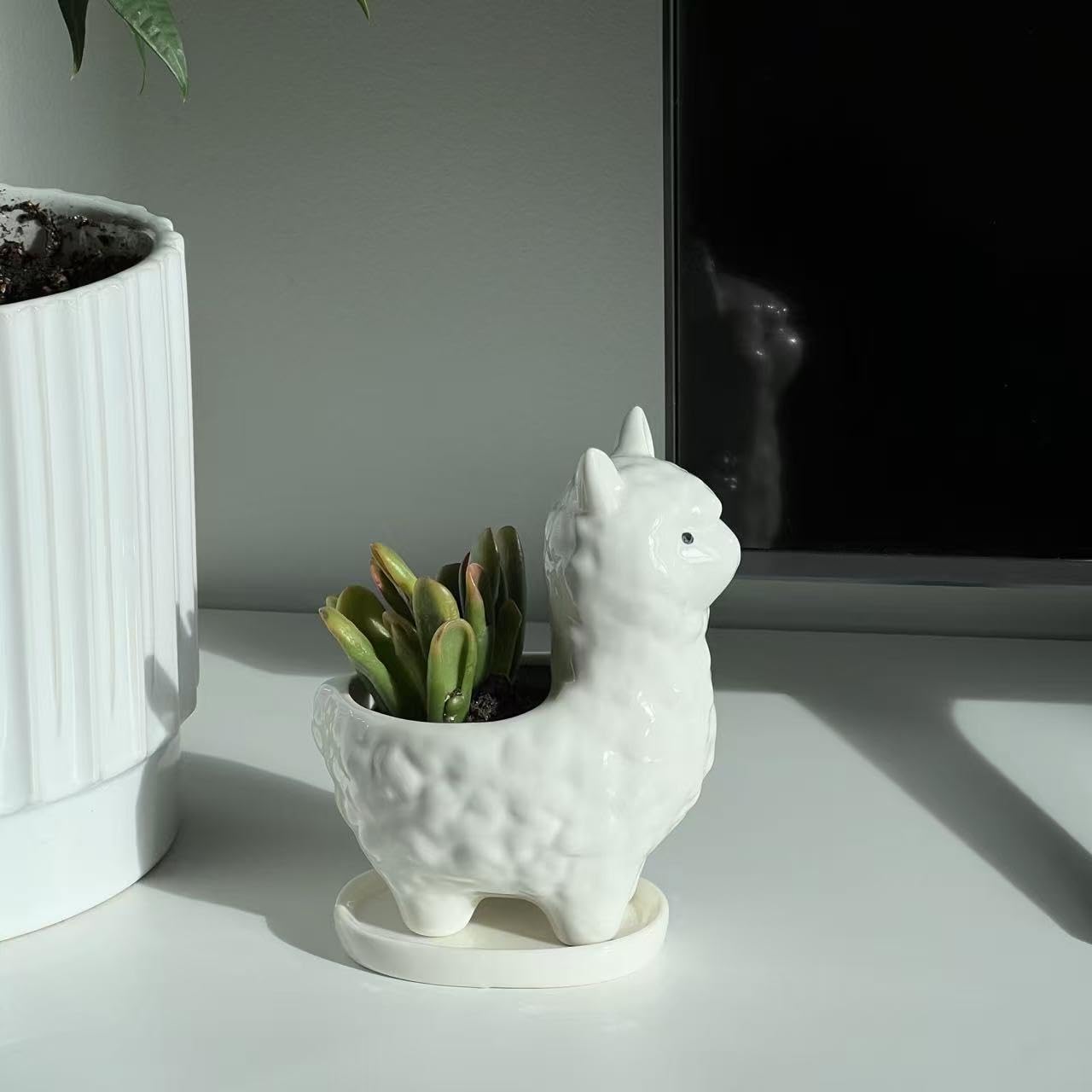 Succulent Planter Pot with Drainage Hole – White Ceramic Animal Pot for Small Plants, Cactus, Flowers – Indoor Outdoor Garden Patio Balcony Decor, Cute Gardening Gift, 6 Inch