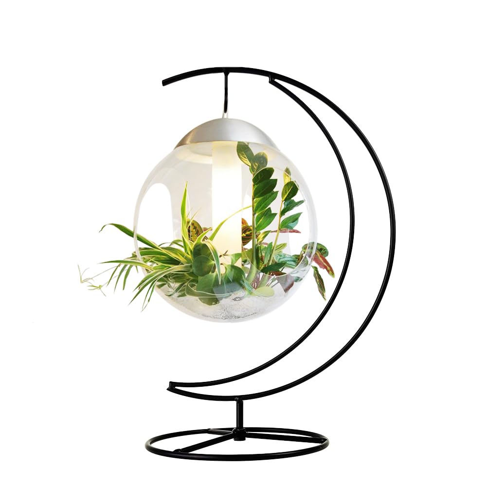 CXLE Ornament Display Stand - Iron Pothook Stand for Hanging Glass Globe, Air Plant Terrarium, Witch Ball, Christmas Ornament and Home Wedding Decoration