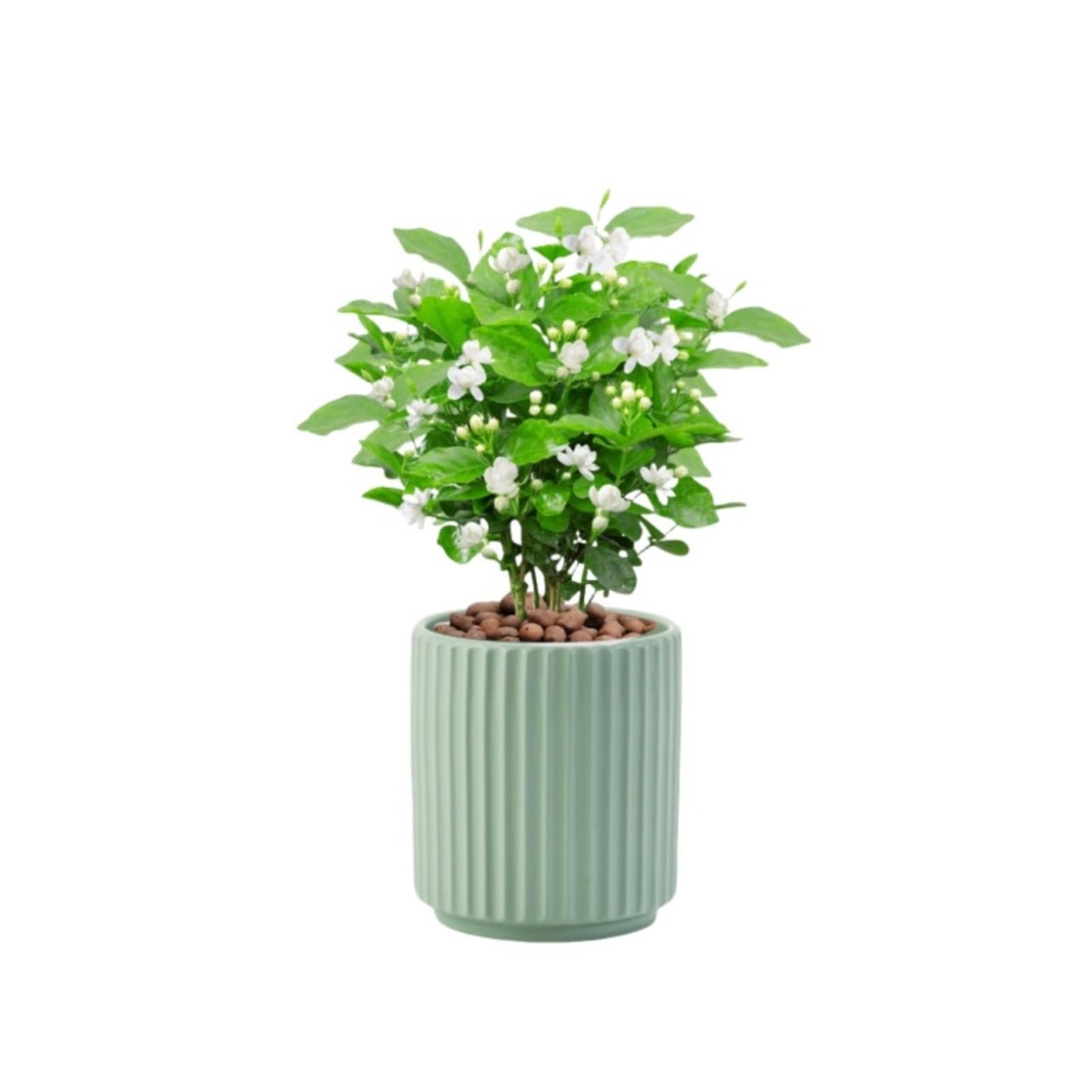 Flowers and Succulent Plant Pots, Ceramic flower Pots and Drainage Hole, Bonsai Planter Large Flower Pots for Indoor Outdoor Use for Home Office Garden Decoration,Plants not included (Green)