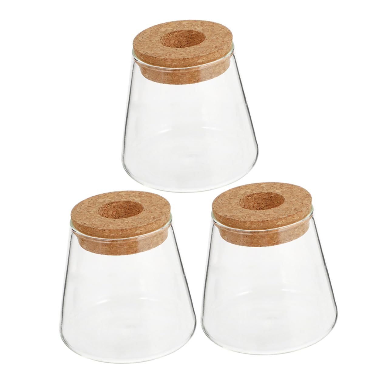 3pcs Hydroponic Glass Plant Vase with Wood Lid Compact Desktop Propagation Station for Plants Clear Terrarium Bottle for Flower Lovers Enhances Indoor Atmosphere