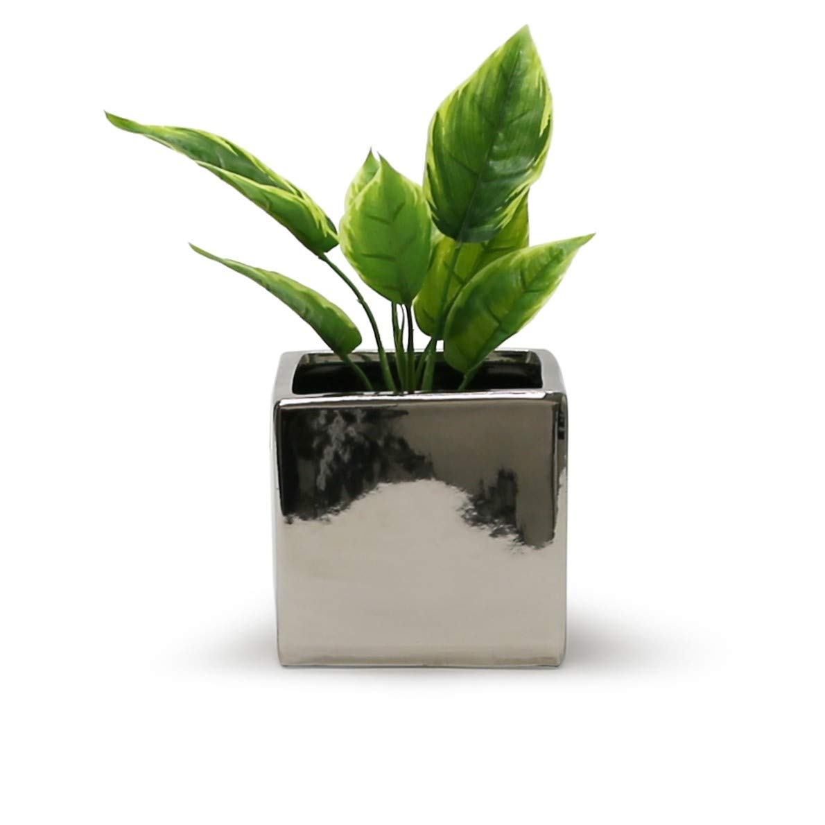 WGVI WGV Ceramic Cube Vase Width 5.5" Height 5" (Fits 5" Pot) Elegant Modern Block Square Floral Planter Terrarium Container Table Dresser for Event Accent Home Office Decor Silver 1 Piece
