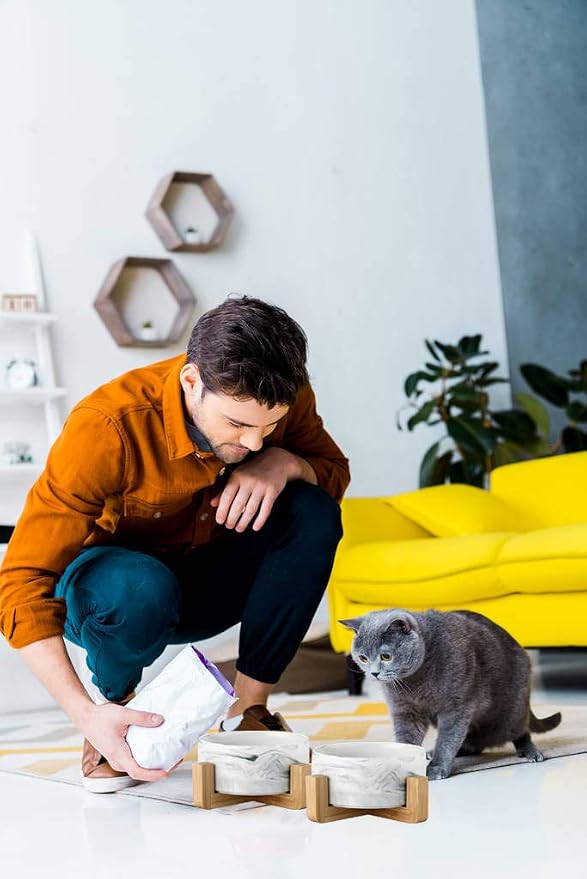 Cat Food and Water Bowl, Heavy Weighted Ceramic, No Tip Over, Shallow Wide Whisker Fatigue Silicone Dish, Pet Comfort Feeder for Small Dog, Dishwasher Safe, 6 inch