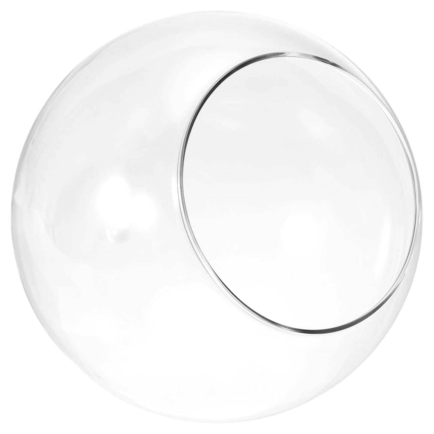 PATIKIL Round Globe Terrarium Air Plant Planter, 6.3 Inch High Borosilicate Glass Table Decorations for Succulent, Tillandsia, Clear