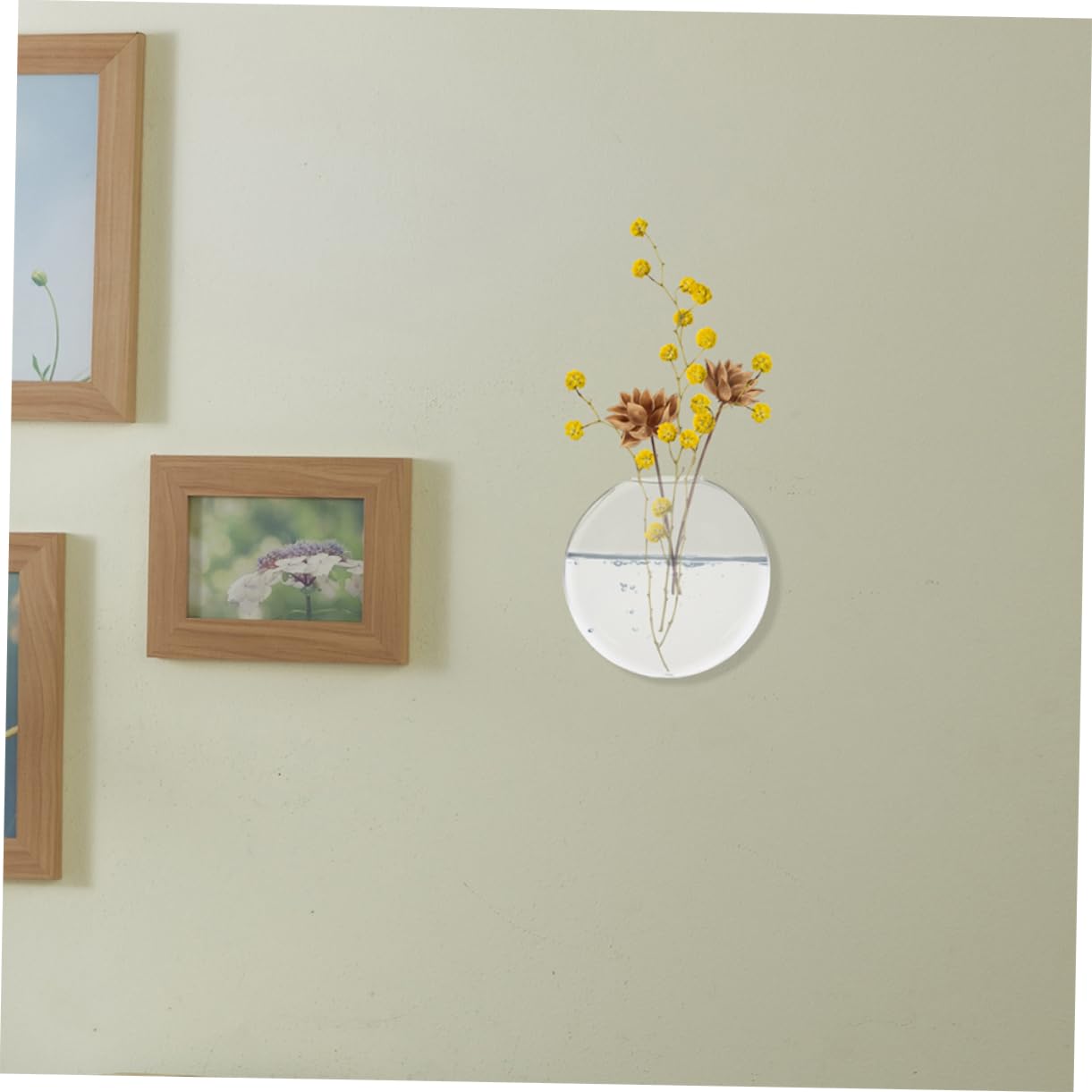 Alipis 6pcs Stylish Wall Hanging Hydroponic Vase Glass Terrarium for Indoor Plant Decor