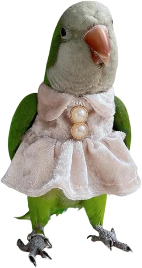 Bird Costume Bird Diaper Flight Suit Parrot Velvet Fleece Skirt Clothes Cosplay Photo Prop for Conure Lovebird Parakeet Cockatiel Macaw Small Animals Apparel (White,X-Small)