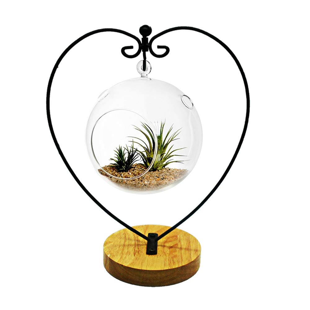Ornament Display Stand, Ornament Stand Holder Iron Pothook Stand for Hanging Glass Globe Air Plant Terrarium, Witch Ball, Christmas Ornament and Home Wedding Decoration