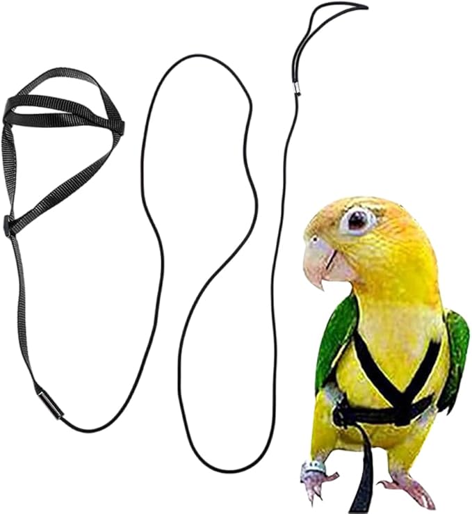Adjustable Bird Harness and Leash,Anti-Escape Durable Nylon Parrot Harness, Flying Training Rope Parrot Leash for Small Medium Large Breed Parrots Fits Chest Under 18.5'', Black S