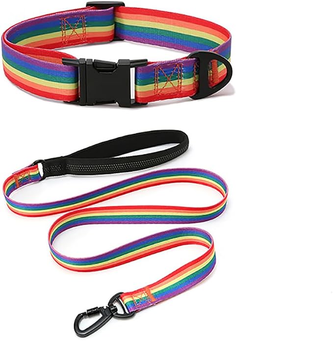 Dog Collar and Leash Set for Dogs Walking Bohemia Ethnic Style | Soft Durable Nylon Adjustable Collar with Metal Buckle and 4ft Padded Handle Matching Leash for Small Medium Large Dogs
