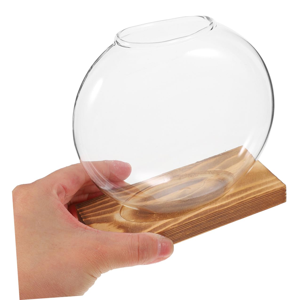 Toyvian 2pcs Hydroponic Glass Vase for Plants with Wooden Base Plant Propagation Station Indoor Terrarium Planter for Home Office Décor