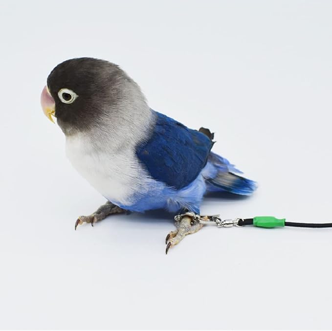 Bird Foot Chain with Flying Latex Elastic Training Rope Outdoor Parrot Ankle Foot Ring Accessories Bird Harness Leash Prevent Escaping (Model7-With 236inch Leash)