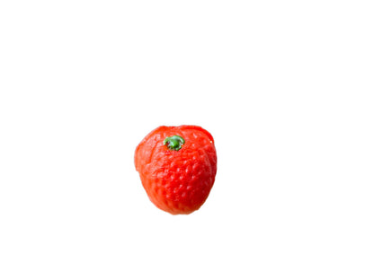 Bergen Marzipan M-1 Assorted Fruit 8 ounce