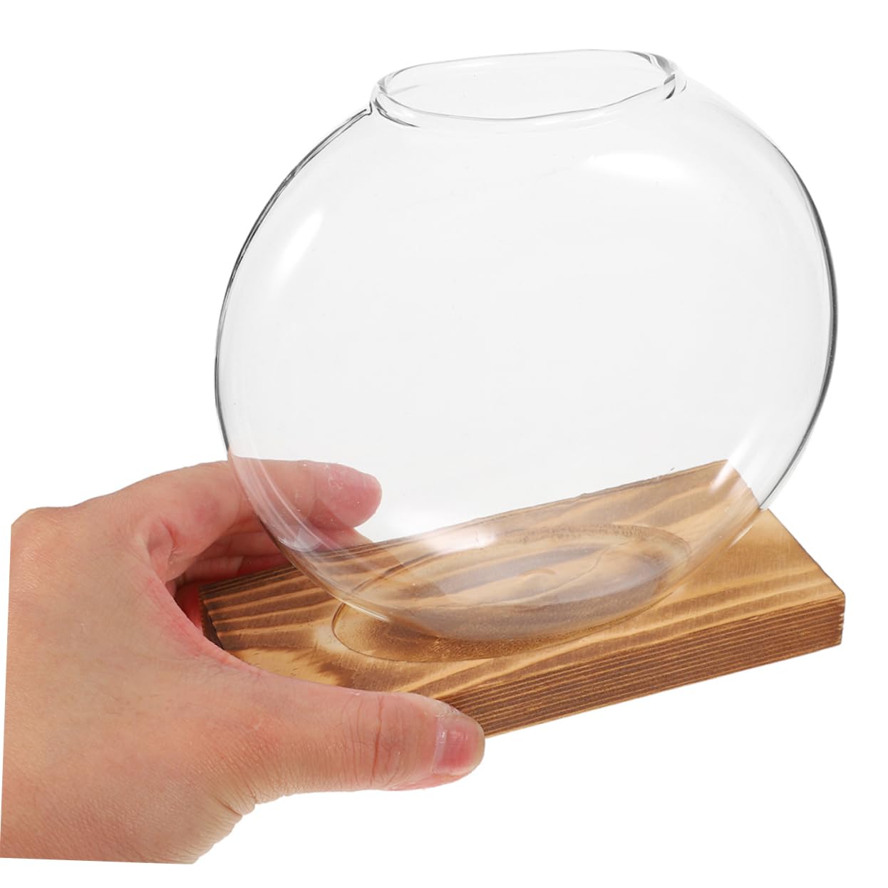 VALICLUD 2pcs Glass Planter: Transparent Glass Vase with Wooden Stand Hydroponic Plant Propagation Station - Stylish Terrarium for Home and Office Decor