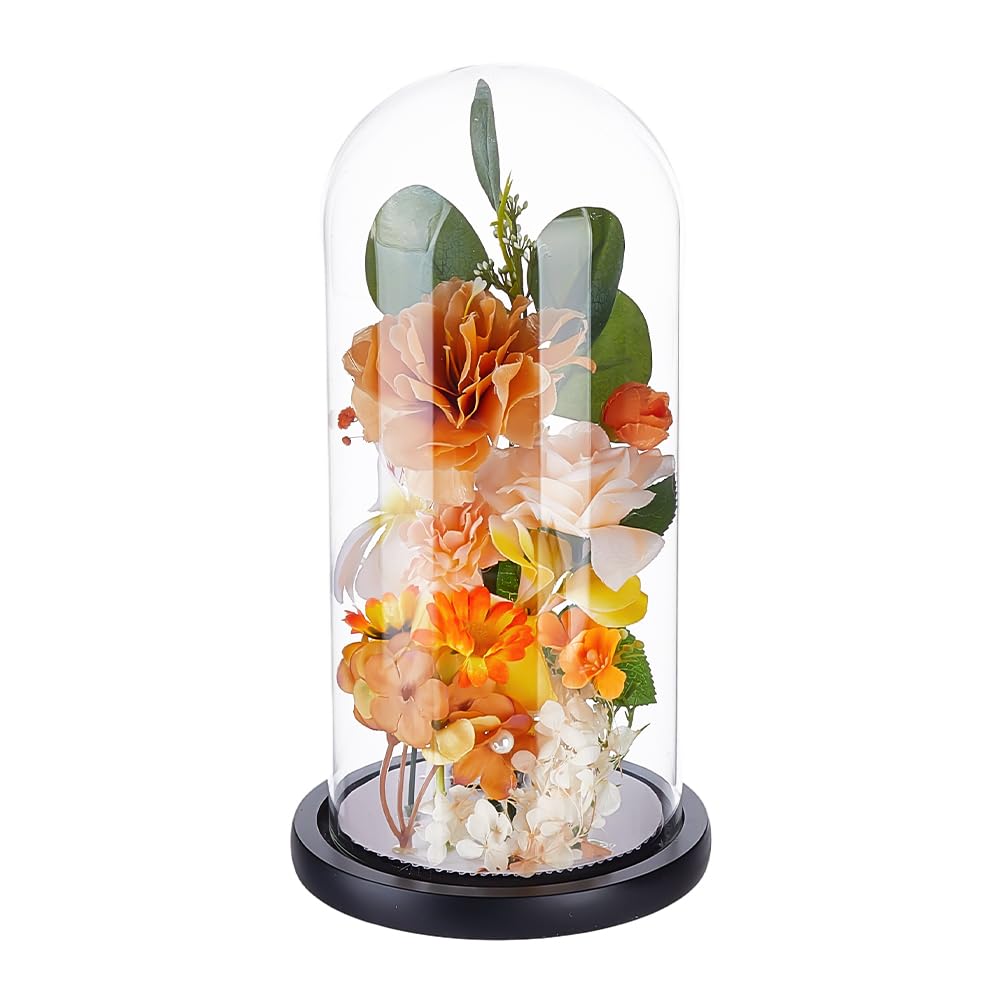 PH PandaHall Glass Cloche Display Dome 5.6x10.9inch Wooden Base Bell Jar Cover Clear Terrarium Display Cloche Bottles Storage Case Decorative Centerpiece Stand for Plants Flower Succulent Home Decor