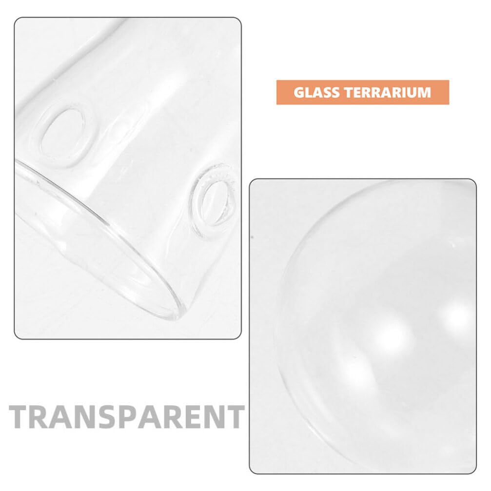 Toddmomy Hydroponic Glass Planters 2-Pack Clear Bulb Vase Accessories for Indoor Plant Propagation Table Centerpiece Home Decor Terrarium Display 3.93X2.75X2.75In