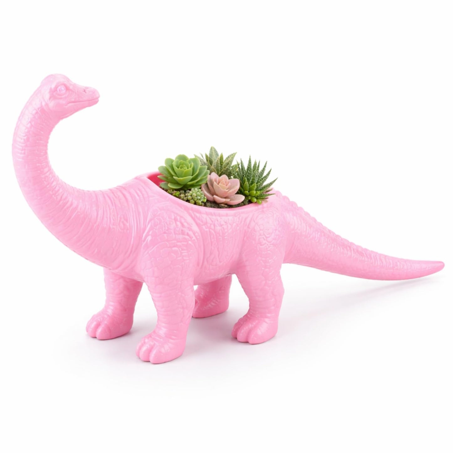 AUNMAS Dinosaur Planter Pot, Small Decorative Flower Pot for Indoor Plants, Cute Desktop Decor for Home Office, Holder (Pink)