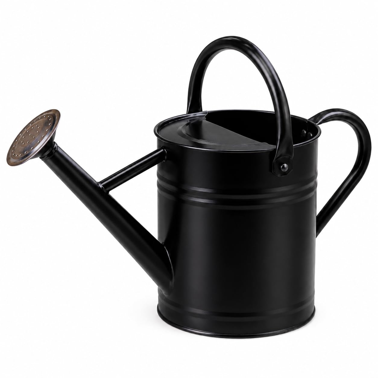 1 Gallon Metal Watering Can for Indoor Outdoor Plants, Galvanized Steel Watering Can with Removable Spout, 2 Stainless Steel Handles, Garden Flower Watering Pot