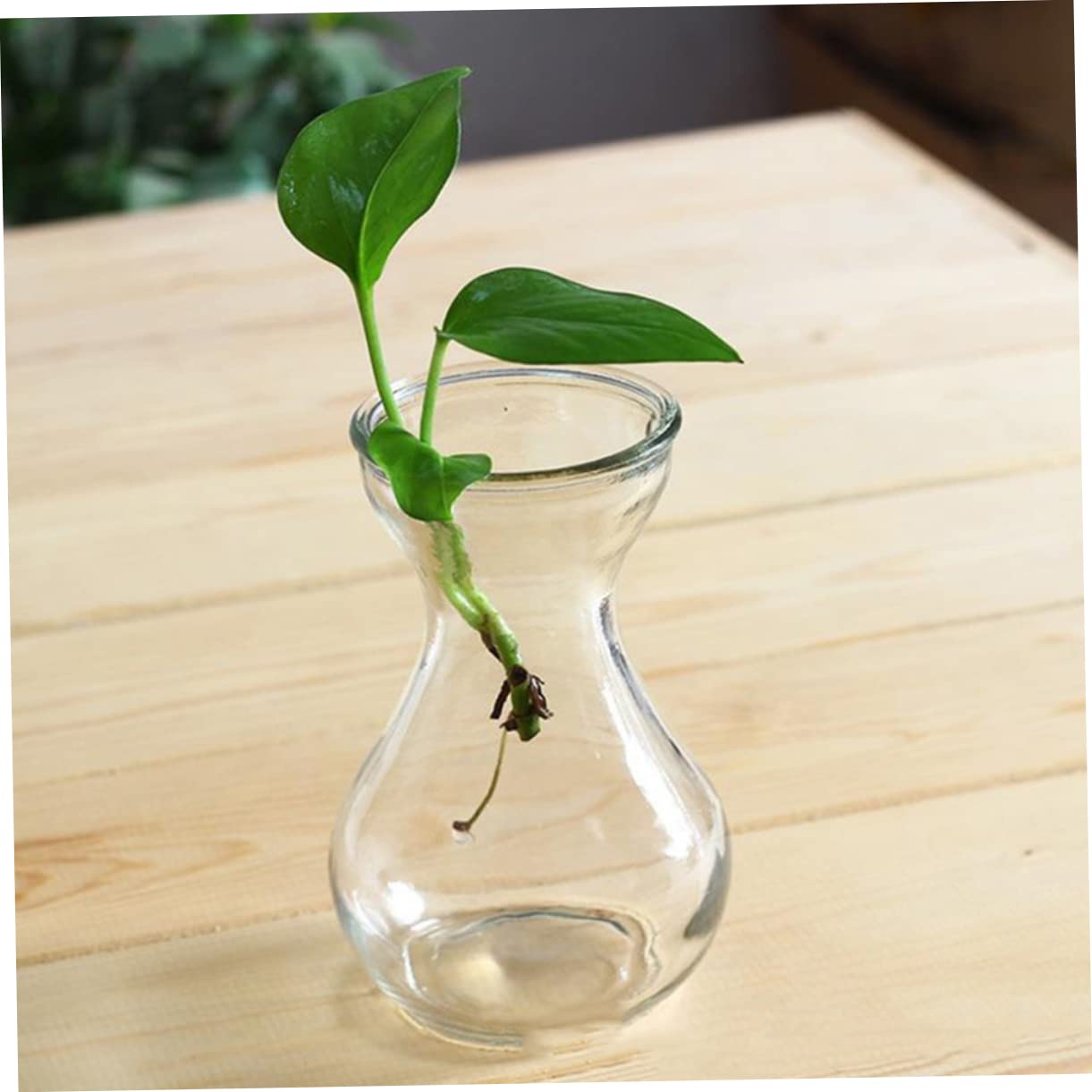 Yardenfun Transparent Glass Craft Vase 5.11X3.54X2.75In Small Flower Container Decorative Planter Inserts for Home Table and Wedding Centerpieces