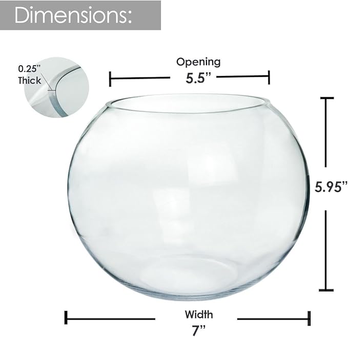 Glass Bubble, 6" Height x 8" Width Glass Fish Bowl Vase, Bubble Bowl vase for Terrarium, Flower vase Centerpiece
