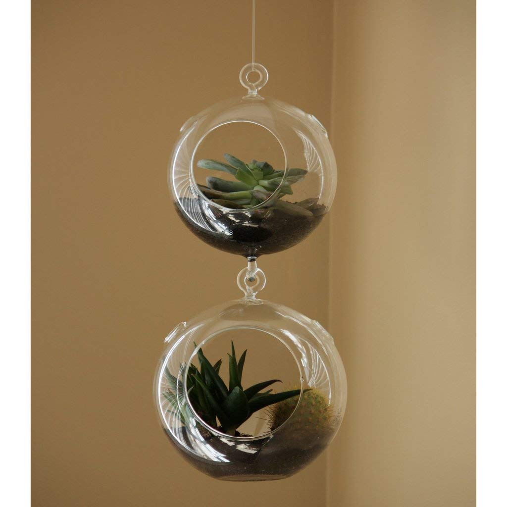 WGV Hanging Terrarium Globe, Width 4", Height 6", Double Hook, DIY Air Succulent Planter, Clear Glass Vase Orb, Candle Holder for Windowsill Outdoor Garden Decor, 1 Piece