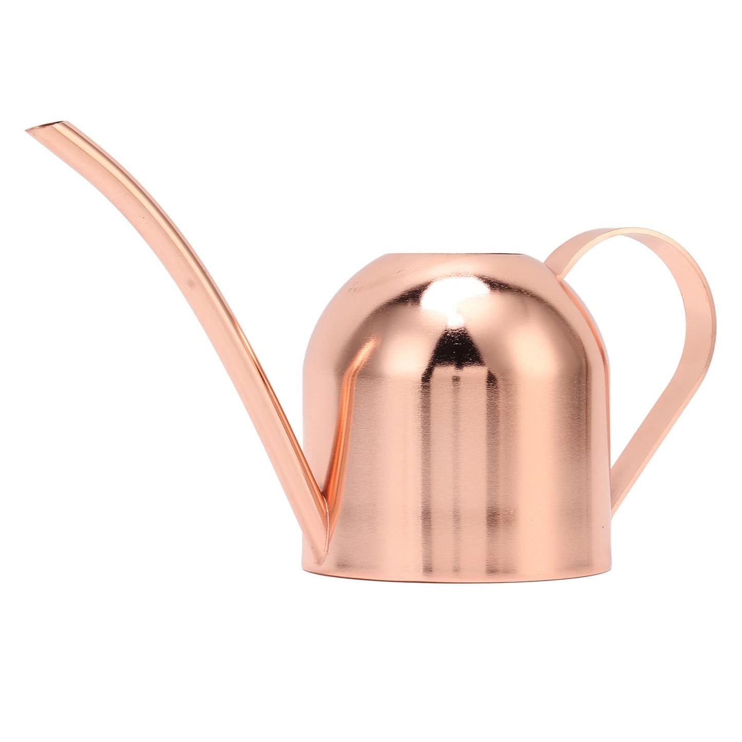 Phefop Watering Can, Stainless Steel, Large Capacity for Indoor Outdoor Plants, 1 Gallon Mini Can for Bonsai and Houseplants