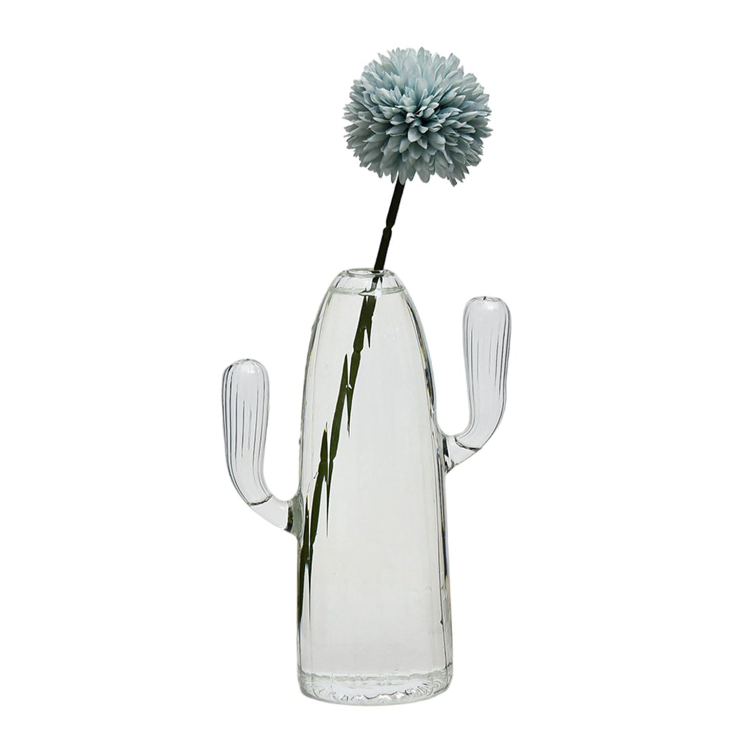 Cactus Glass Vase Flower Plant Flowerpots Decorations Home Hydroponics Terrariums Flower Arrangement Flowerpots Livingooms Decors Cactus