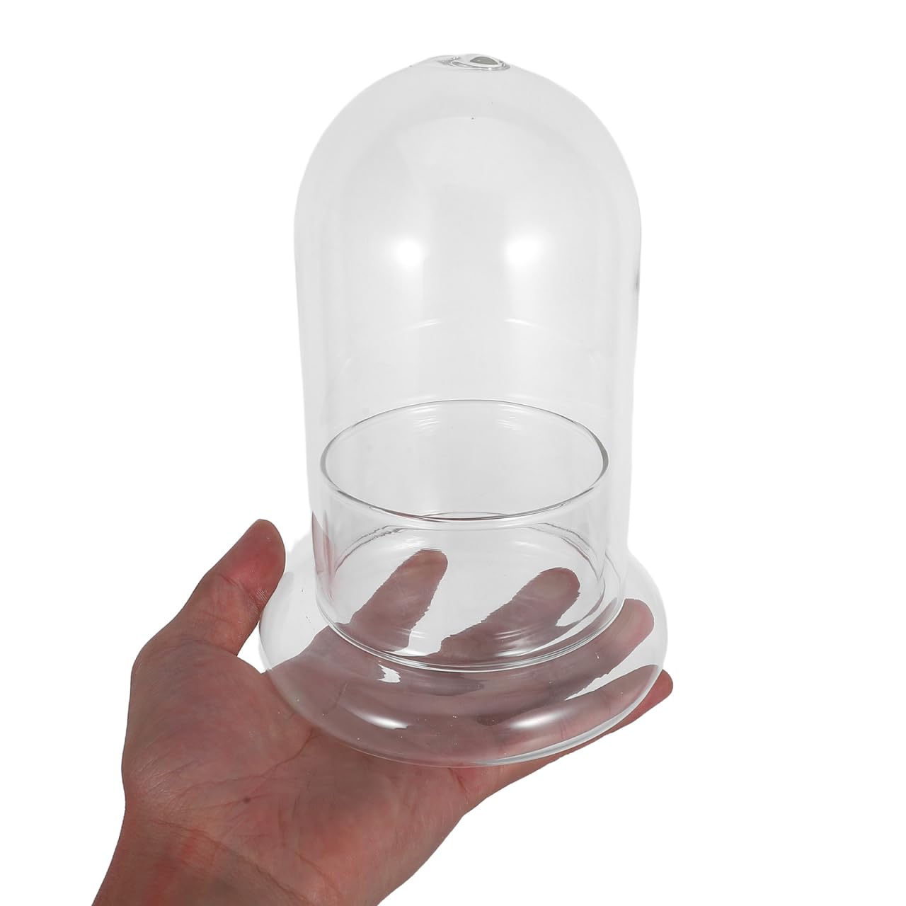 Yardwe 2Pcs Micro Landscape Bottle Terrarium Glass Jars - 6.69X4.72X4.72In Ecological Decorative Bottles for Home Office DIY Plant Display