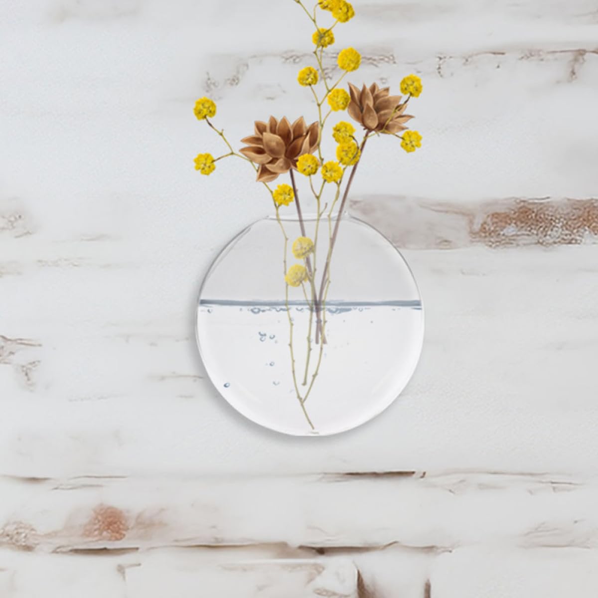 GARVALON Glass Hanging Planter Wall Mounted Vase 2pcs Glass Terrarium Hydroponic Vase for Indoor Plants Home Décor