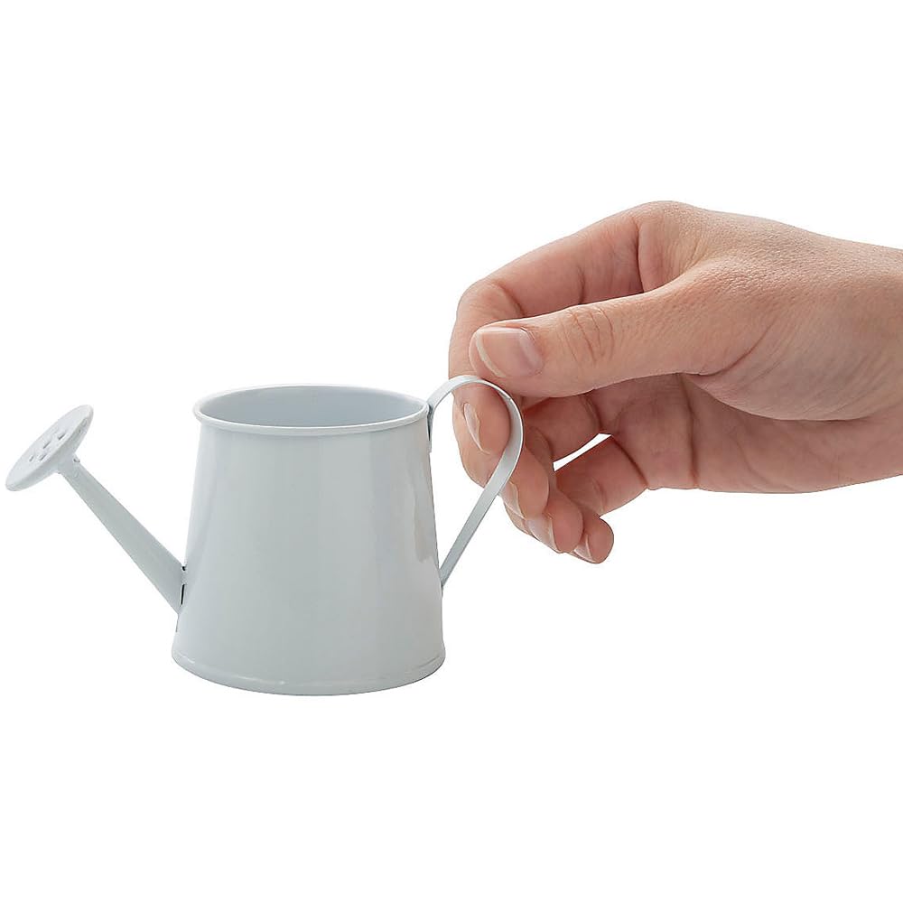 Fun Express Mini Watering Can Tabletop Decorations - 12 Pieces - Great for Spring and Garden Home Decor, Weddings and Other Table Centerpieces