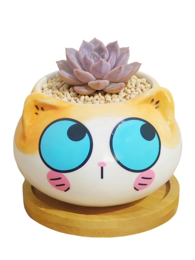 Cuteforyou Cute 3.5 Inches Indoor Cartoon Animal Cat Shaped Ceramic Succulent Cactus Flower Plant Pots with Bamboo Tray-Plant Not Included (Blue Eyes)